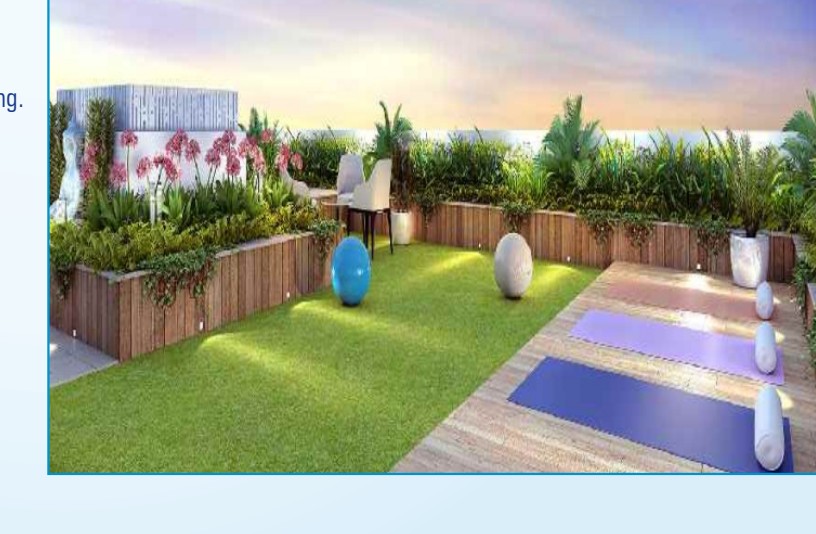 Rooftop Landscaped Garden