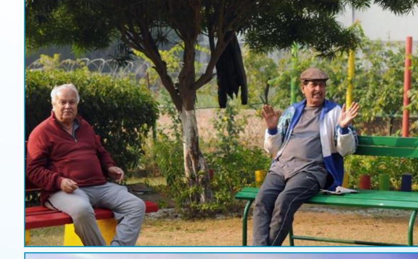 Senior Citizen Sit-Out